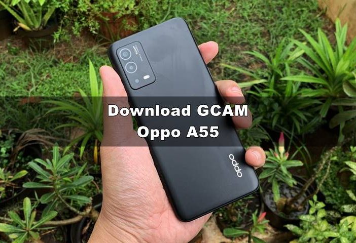 Download GCAM Oppo A55 Nikita Astrophotography